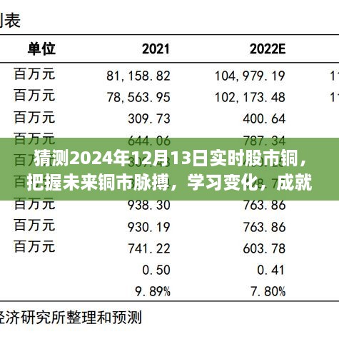 揭秘2024年12月13日股市銅市走向，洞悉變化成就投資夢(mèng)想