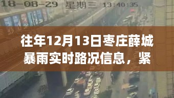 棗莊薛城暴雨預(yù)警，實(shí)時路況信息及雨季安全指南（12月13日）