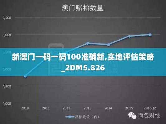 新澳門一碼一碼100準確新,實地評估策略_2DM5.826