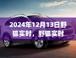 野狐實(shí)時(shí)，溫馨日常中的歡樂(lè)時(shí)光（2024年12月13日）