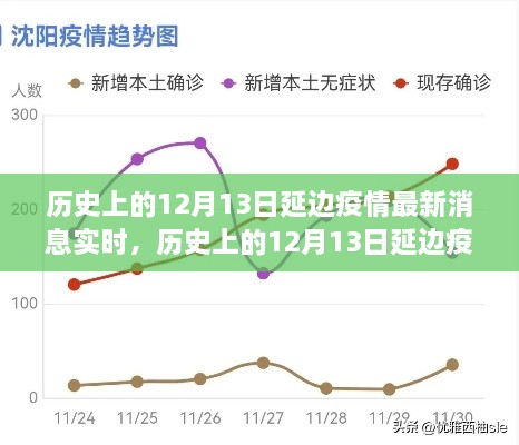 多維度視角下的深度分析，歷史上的延邊疫情最新消息實時報道與解讀（截至12月13日）