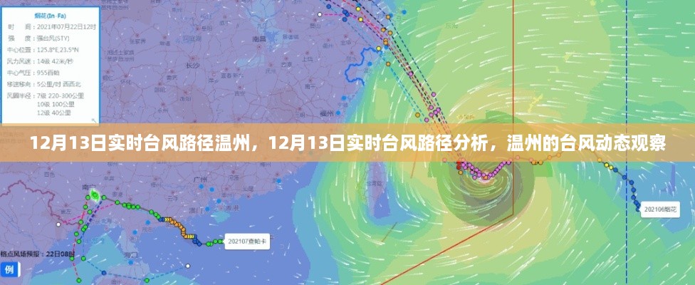 12月13日溫州臺風(fēng)路徑實時分析，最新動態(tài)與觀察報告