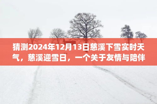 慈溪雪日溫情，友情與陪伴的溫馨故事，預(yù)測(cè)2024年12月13日實(shí)時(shí)天氣