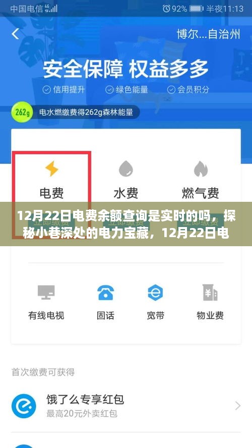 探秘小巷深處的電力寶藏，揭秘12月22日電費(fèi)余額查詢實(shí)時(shí)性揭秘