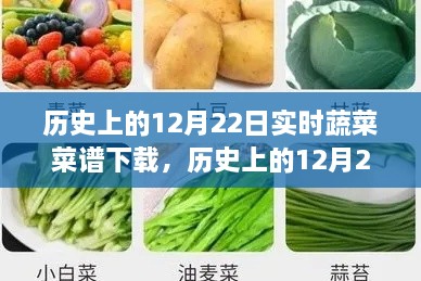 歷史上的12月22日實(shí)時(shí)蔬菜菜譜下載，價(jià)值探討與觀點(diǎn)論述