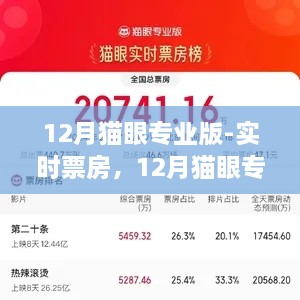 12月貓眼專業(yè)版實時票房解析，電影市場深度洞察