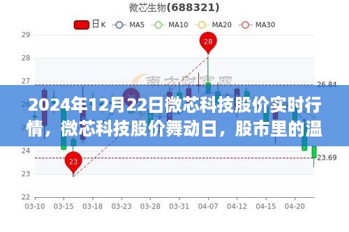 微芯科技股價(jià)實(shí)時行情解析，股市中的溫情故事在舞動日展現(xiàn)（2024年12月22日）