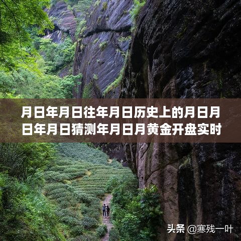 黃金行情揭秘，歷史、預(yù)測與實(shí)時(shí)動(dòng)態(tài)的交織