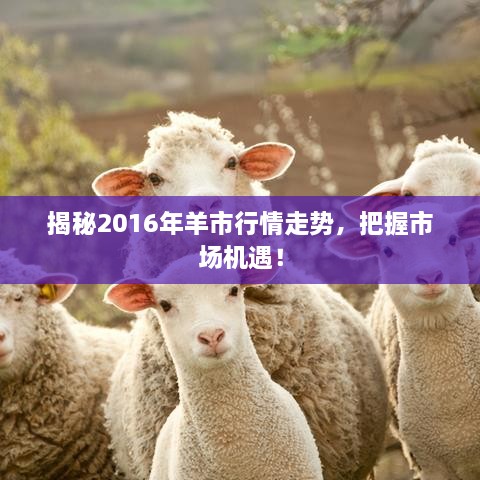 揭秘2016年羊市行情走勢，把握市場機遇！