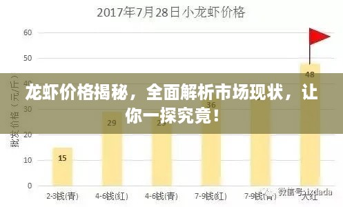 龍蝦價格揭秘，全面解析市場現(xiàn)狀，讓你一探究竟！
