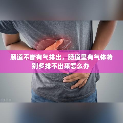 腸道不斷有氣排出，腸道里有氣體特別多排不出來怎么辦 