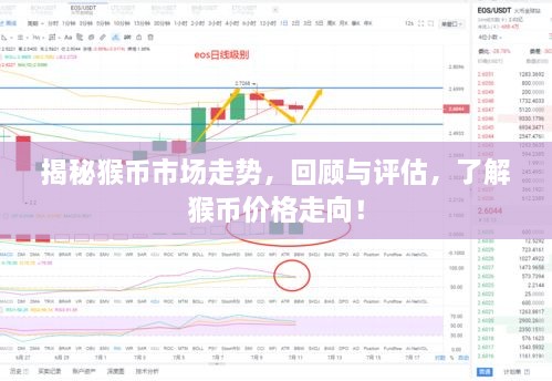 揭秘猴幣市場(chǎng)走勢(shì)，回顧與評(píng)估，了解猴幣價(jià)格走向！