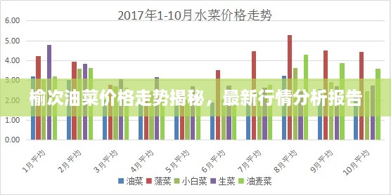 榆次油菜價(jià)格走勢(shì)揭秘，最新行情分析報(bào)告