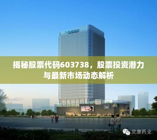 揭秘股票代碼603738，股票投資潛力與最新市場動態(tài)解析