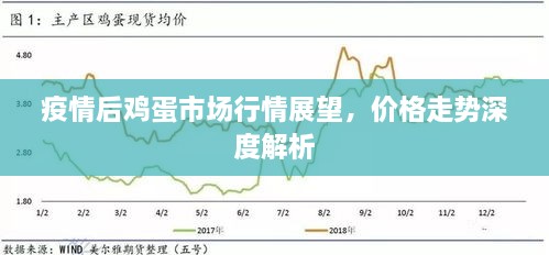 疫情后雞蛋市場(chǎng)行情展望，價(jià)格走勢(shì)深度解析