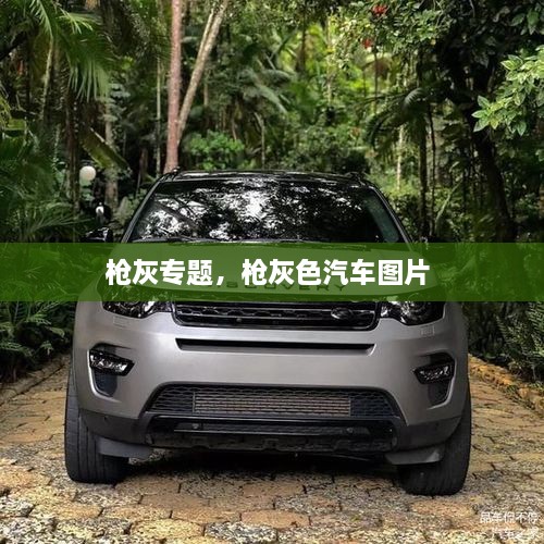 槍灰專題，槍灰色汽車圖片 