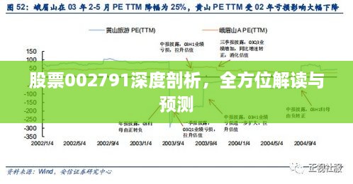 股票002791深度剖析，全方位解讀與預(yù)測(cè)