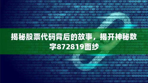 揭秘股票代碼背后的故事，揭開神秘數(shù)字872819面紗