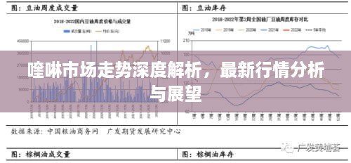 喹啉市場走勢深度解析，最新行情分析與展望