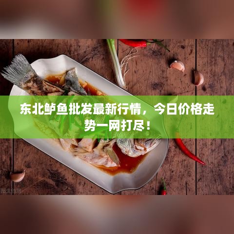 東北鱸魚批發(fā)最新行情，今日價格走勢一網(wǎng)打盡！