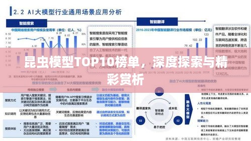 昆蟲模型TOP10榜單，深度探索與精彩賞析