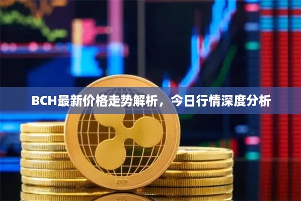 BCH最新價格走勢解析，今日行情深度分析