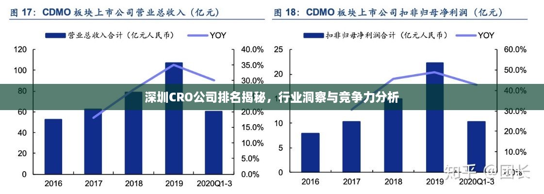 深圳CRO公司排名揭秘，行業(yè)洞察與競爭力分析