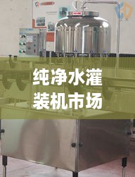 純凈水灌裝機(jī)市場(chǎng)走勢(shì)解析，最新行情深度探討