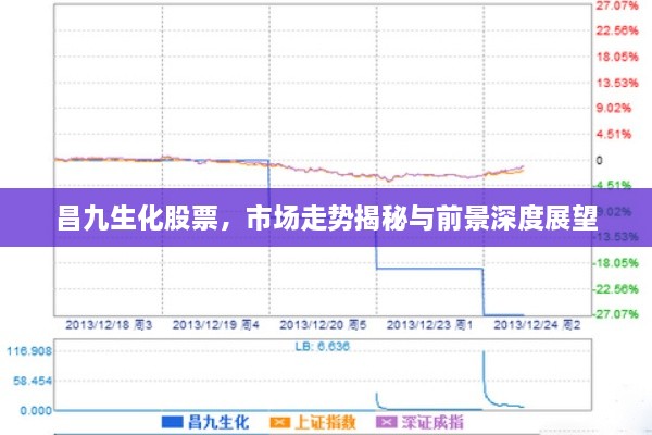 昌九生化股票，市場走勢揭秘與前景深度展望