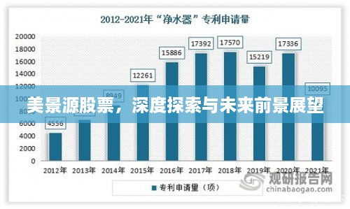 美景源股票，深度探索與未來前景展望