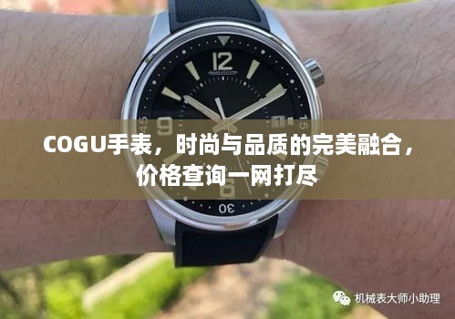 COGU手表，時尚與品質(zhì)的完美融合，價格查詢一網(wǎng)打盡