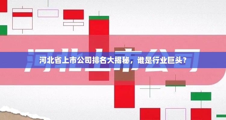 河北省上市公司排名大揭秘，誰是行業(yè)巨頭？