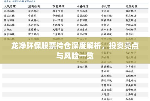 龍凈環(huán)保股票持倉深度解析，投資亮點與風險一覽