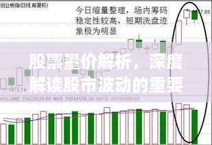 盡心竭力 第2頁(yè)