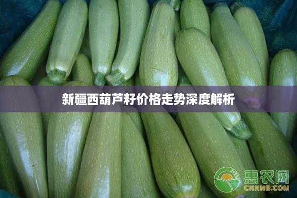 新疆西葫蘆籽價(jià)格走勢深度解析