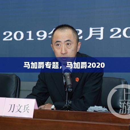 馬加爵專題，馬加爵2020 