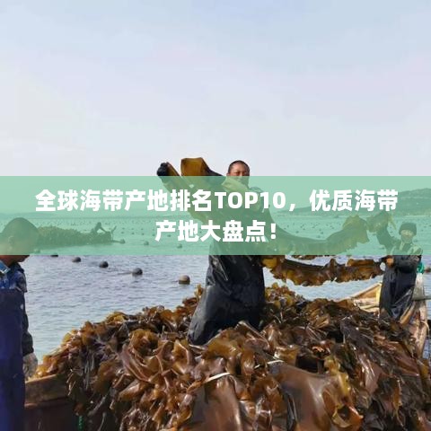 全球海帶產(chǎn)地排名TOP10，優(yōu)質(zhì)海帶產(chǎn)地大盤點(diǎn)！