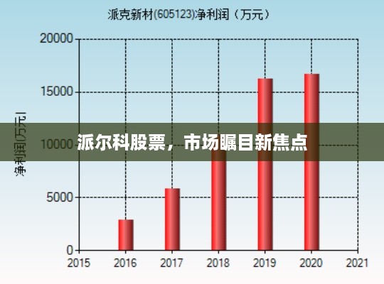 派爾科股票，市場(chǎng)矚目新焦點(diǎn)