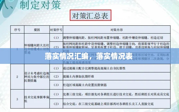 落實情況匯編，落實情況表 