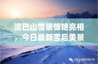 泥巴山雪景驚艷亮相，今日最新雪后美景報(bào)道！