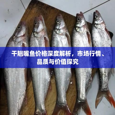 干翹嘴魚價格深度解析，市場行情、品質(zhì)與價值探究