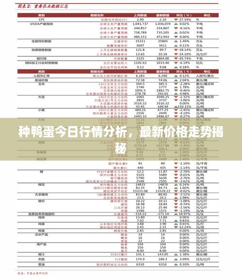 種鴨蛋今日行情分析，最新價(jià)格走勢揭秘