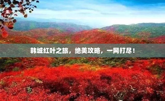 韓城紅葉之旅，絕美攻略，一網(wǎng)打盡！