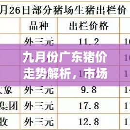 九月份廣東豬價走勢解析，市場行情、價格變動一網(wǎng)打盡