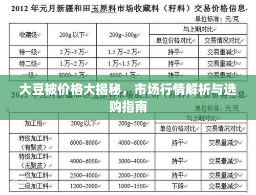 2025年2月6日 第9頁