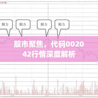 股市聚焦，代碼002042行情深度解析