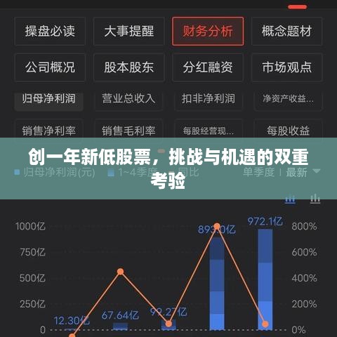 創(chuàng)一年新低股票，挑戰(zhàn)與機遇的雙重考驗