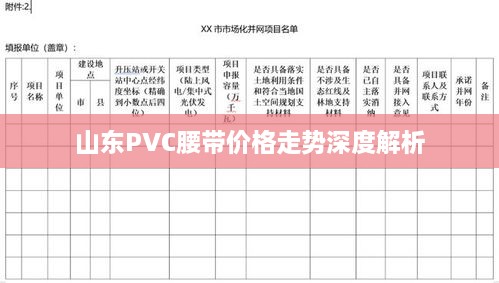 山東PVC腰帶價(jià)格走勢深度解析