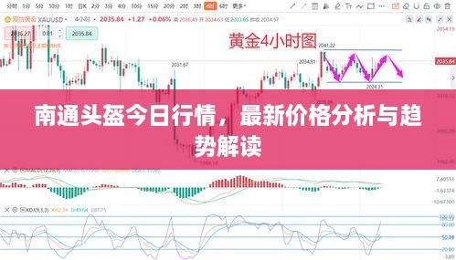 南通頭盔今日行情，最新價(jià)格分析與趨勢解讀