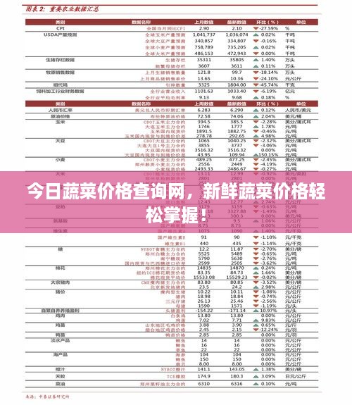 今日蔬菜價(jià)格查詢網(wǎng)，新鮮蔬菜價(jià)格輕松掌握！